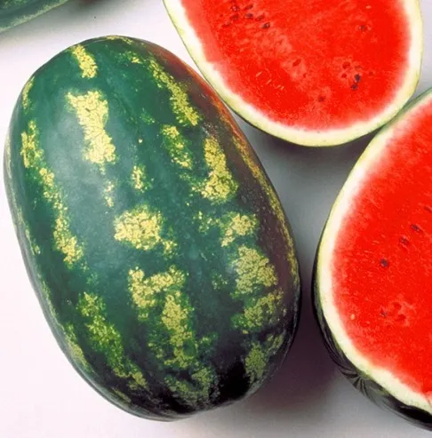 [HH25] SANDIA SANTA AMELIA x 5000 SEMILLA SEMINIS®
