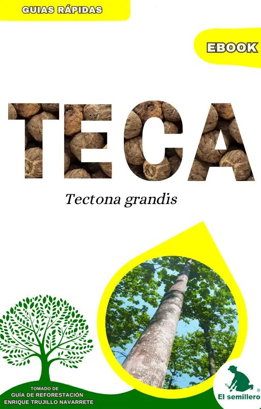 E-BOOK TECA (Tectona grandis) - Guías Rápidas