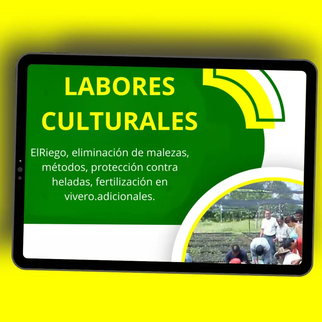 LABORES CULTURALES EN VIVEROS FORESTALES 🌱🌳🤠