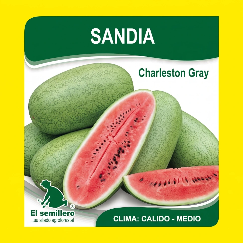 SANDIA CHARLESTON GRAY (SEMILLA)
