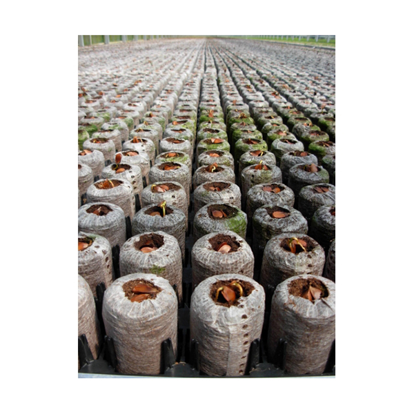 [BA7] JIFFYS PELLET 36x100 mm caja x 768 unidades