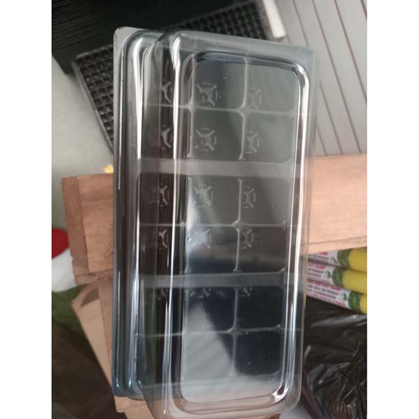 [BA12] KIT GERMINADOR ESCOLAR