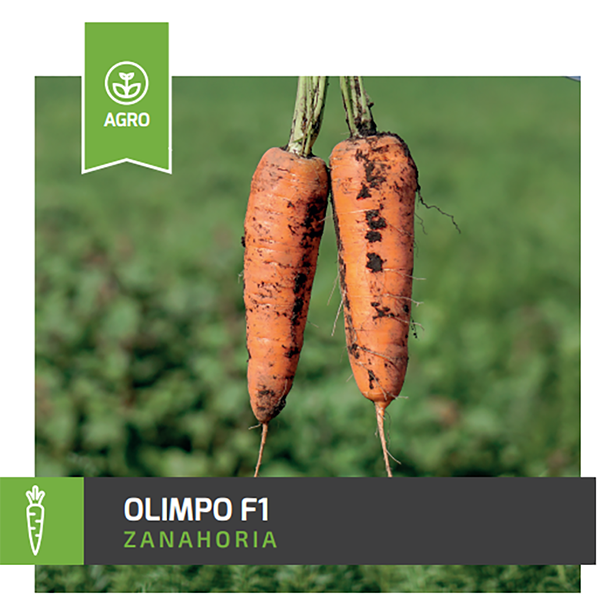 [HH10] ZANAHORIA HIBRIDA OLIMPO F1 16/18 X 100MIL SEMILLAS