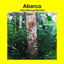 ABARCO (1 Kg)