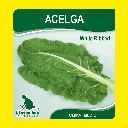 ACELGA WHITE RIBBED (SEMILLA) (454 Gramos)