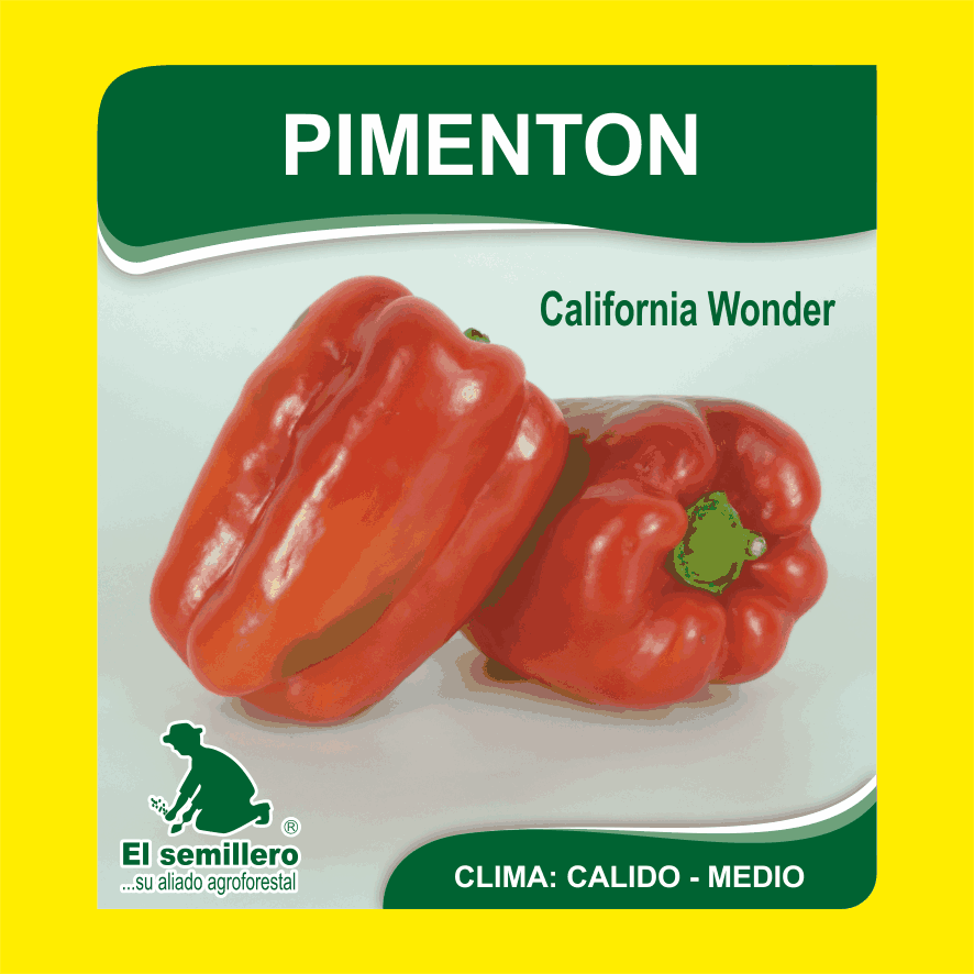PIMENTON CALIFORNIA WONDER