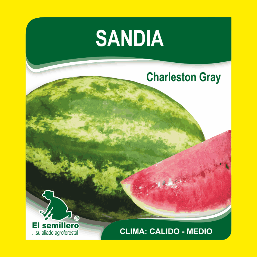 SANDIA CHARLESTON GRAY (SEMILLA)