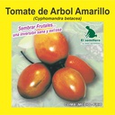 TOMATE DE ÁRBOL AMARILLO (1 Kg)