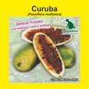 CURUBA (5 Gramos)