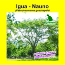 IGUÁ - NAUNO (5 Gramos)