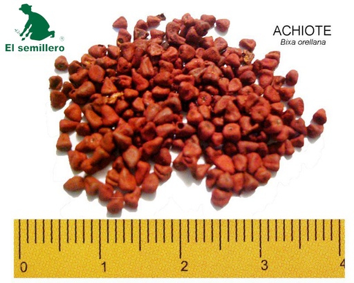 ACHIOTE-ONOTO (SEMILLA)