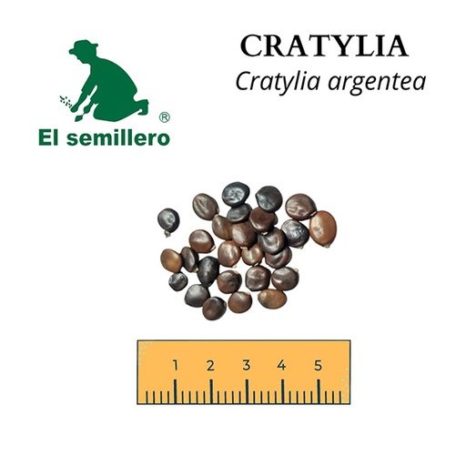 CRATYLIA (SEMILLA)