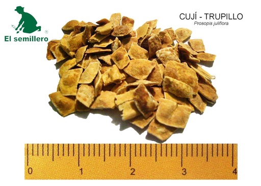 CUJI - TRUPILLO (SEMILLA)