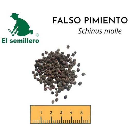 FALSO PIMIENTO (SEMILLA)