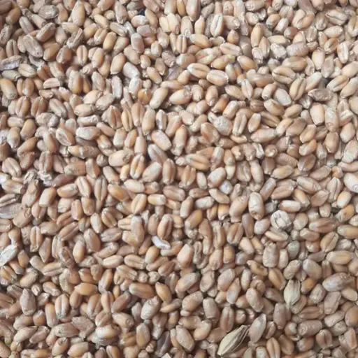 [PF28] CEBADA FVH X KG (SEMILLA)