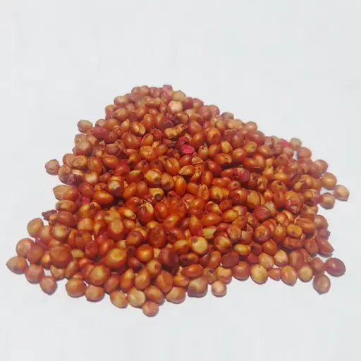 [PF43] SORGO FORRAJERO X KG (SEMILLA)