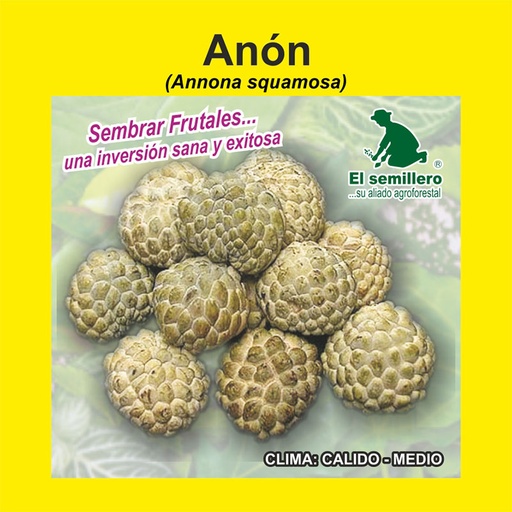 ANÓN (SEMILLA)