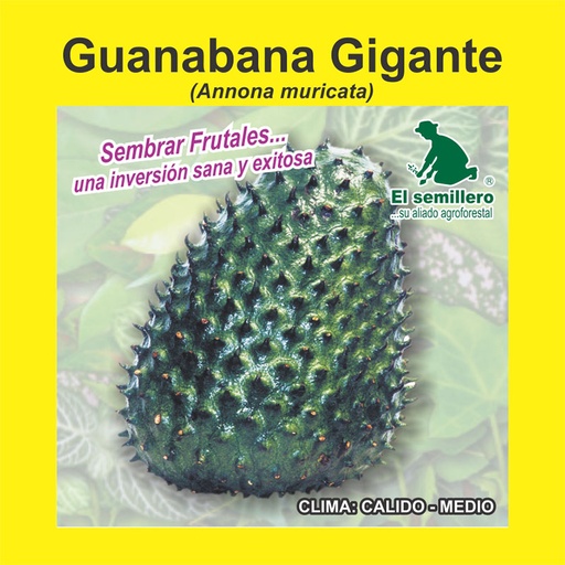 GUANABANA GIGANTE (SEMILLA)