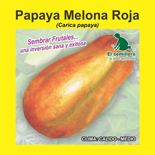 PAPAYA MELONA ROJA (SEMILLA)