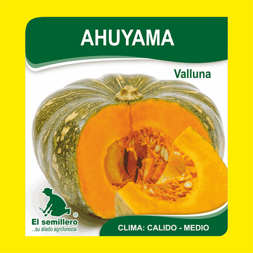 AHUYAMA VALLUNA (SEMILLA)