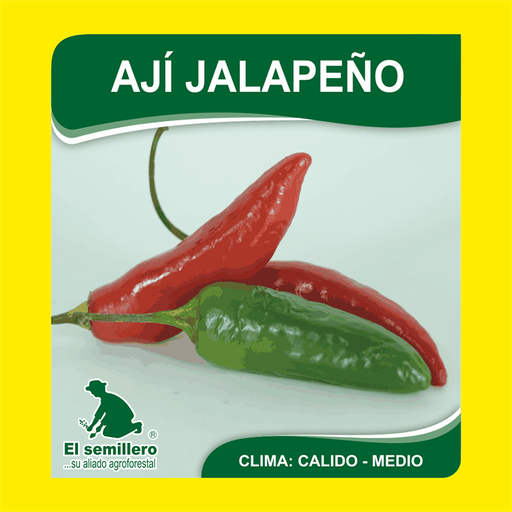 AJI JALAPEÑO (SEMILLA)