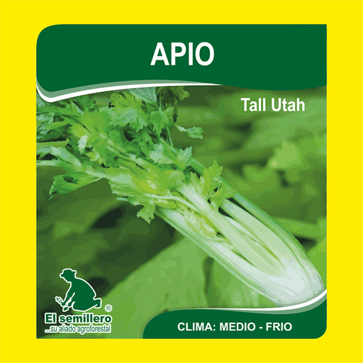 APIO TALL UTAH (SEMILLA)