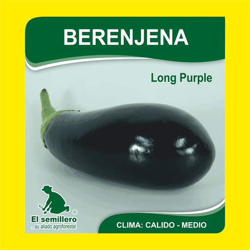 BERENJENA LONG PURPLE (SEMILLA)