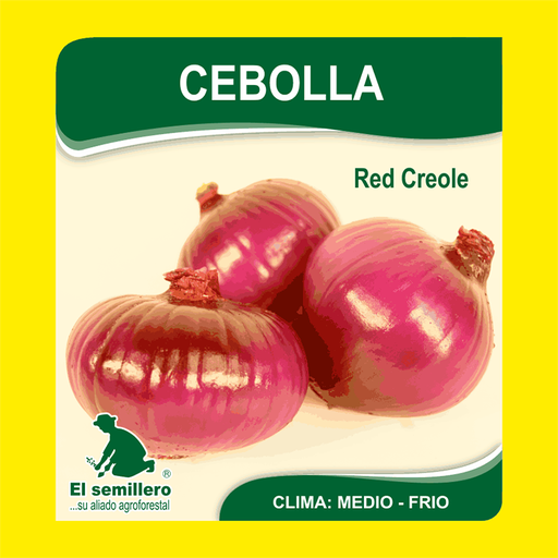 CEBOLLA RED CREOLE (SEMILLA)