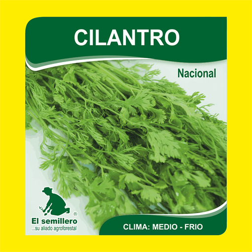 CILANTRO PATIMORADO (SEMILLA)