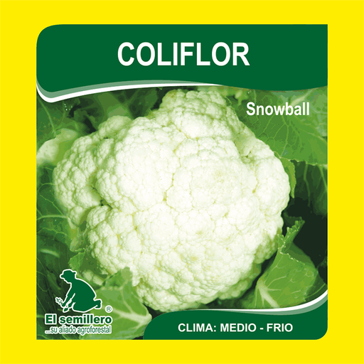 COLIFLOR SNOWBALL (SEMILLA)
