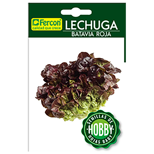 [HV116] LECHUGA BATAVIA ROJA HOBBY  X 0.3GR (SEMILLA)