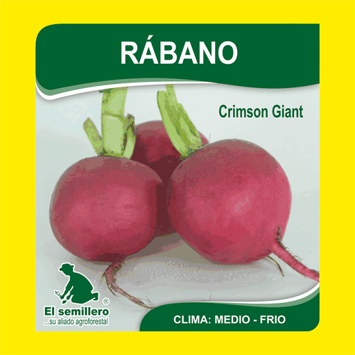 RABANO CRIMPSON GIANT (SEMILLA)