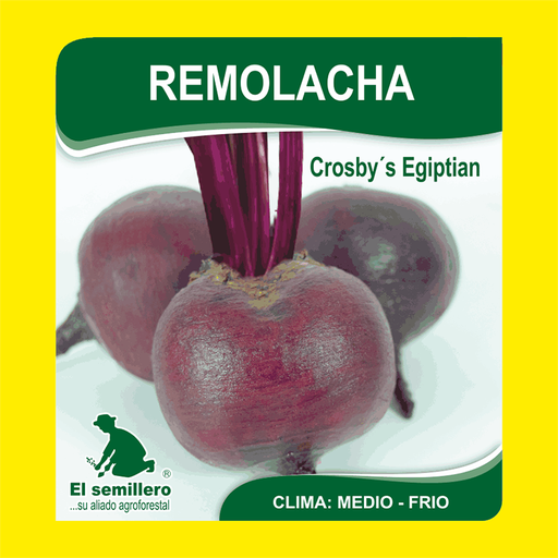 REMOLACHA CROSBY EGIP (SEMILLA)