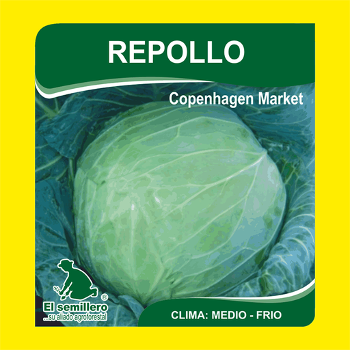 REPOLLO COPENHAGEN MARKET (SEMILLA)