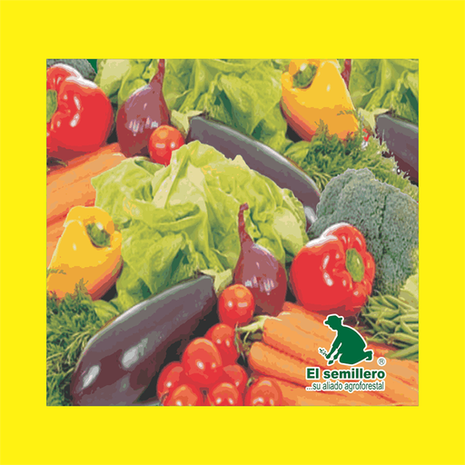 TOMATE CHERRY (SEMILLA)