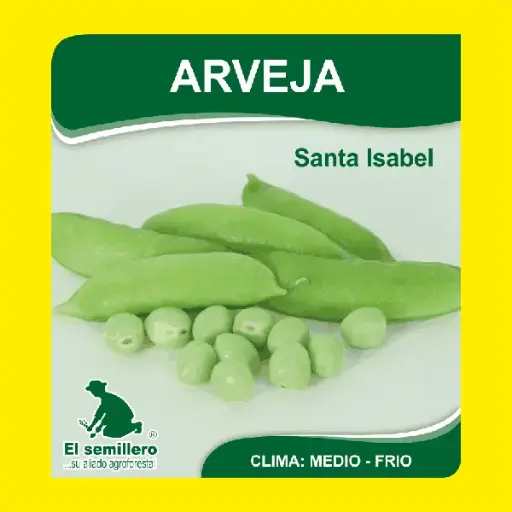 [AG5] ARVEJA SANTA ISABEL KG (SEMILLA)