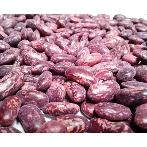 [AG6] FRIJOL NIMA KG (SEMILLA)