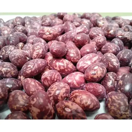 [AG8] FRIJOL CARGAMANTO KG (SEMILLA)