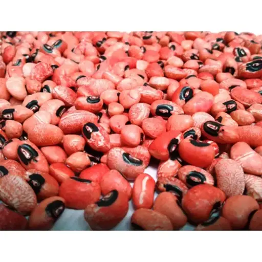 [AG9] FRIJOL CAUPI FORR. X KG (SEMILLA)