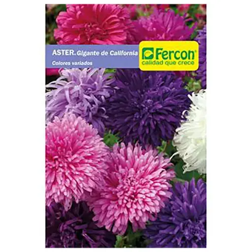 [FL3] FLOR ASTER MEZCLA DE COLORES 5145 X 0.5GR (SEMILLA)