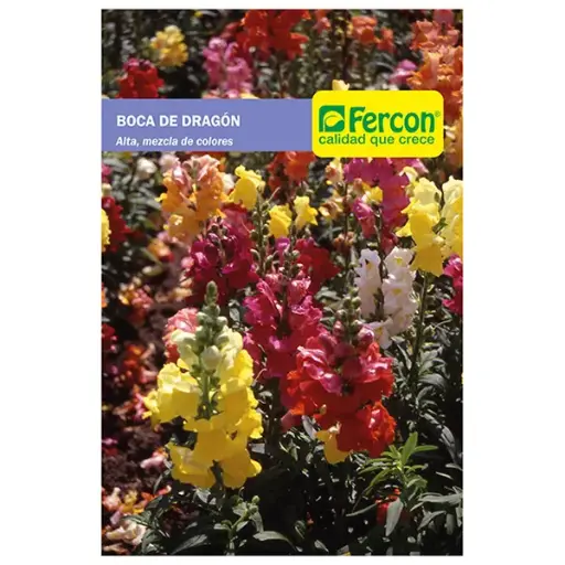 [FL5] FLOR BOCA DE DRAGON MEZCLA DE COLOR 5085 X 0.3GR (SEMILLA)