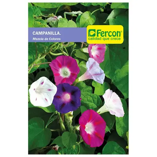 [FL8] FLOR CAMPANILLA GLORIA DE LA MAÑANA 5925 X 1GR (SEMILLA)