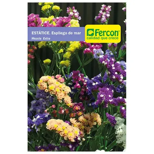 [FL13] FLOR ESTATICE MEZCLA EXTRA 6495 X 0.3GR (SEMILLA)
