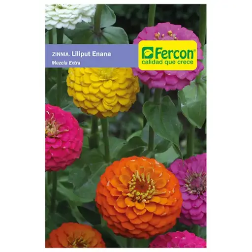 [FL24] FLOR ZINNIA LILIPUT ENANA MEZCLA EXTRA 6820 X 0.5GR (SEMILLA)