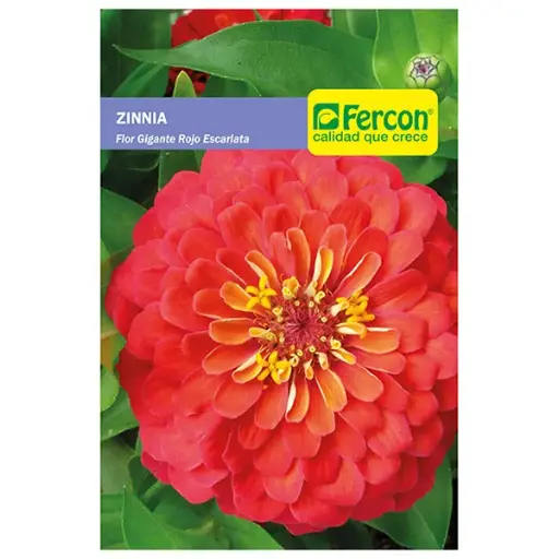 [FL26] FLOR ZINNIA FLOR GIG. ROJO ESCARLAT 6850 X 0.5GR (SEMILLA)