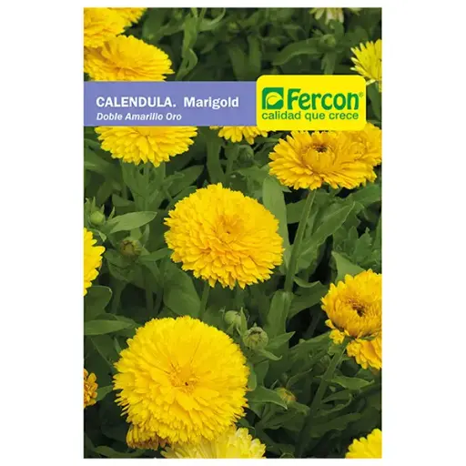 [FL28] FLOR CALENDULA DOBLE AMARILLO 5345 X 1GR (SEMILLA)