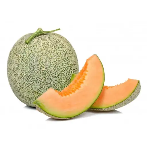 MELON EDISTO