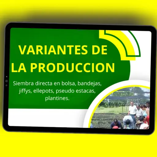 [C05] VARIANTES DE LA PRODUCCION EN VIVERO FORESTAL🌳🤠