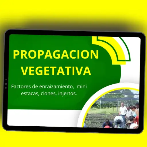 [C06] PROPAGACION VEGETATIVA FORESTAL 🌱🌳🤠