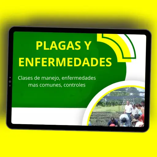 [C08] PLAGAS Y ENFERMEDADES EN VIVERO FORESTAL 🌱🌳🤠